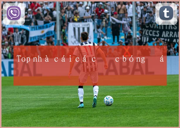 Top nhà cái cá cược bóng đá