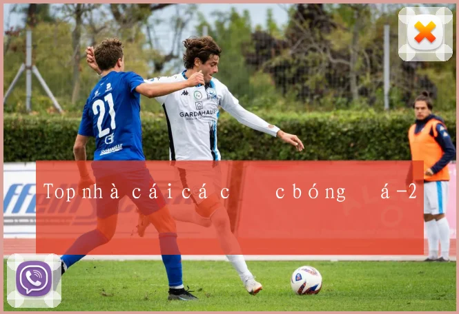 Top nhà cái cá cược bóng đá